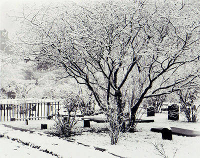 Gorbals Burial Ground, 1907